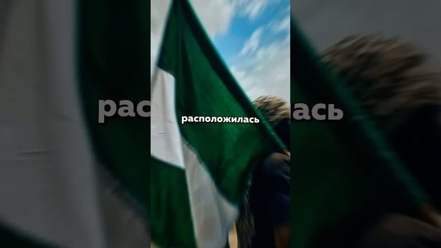 В каких НЕмусульманских странах живёт больше всего мусульман? #ПульсИслама #shorts смотреть онлайн