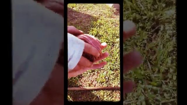 Когда ты рад что есть медь смотреть онлайн