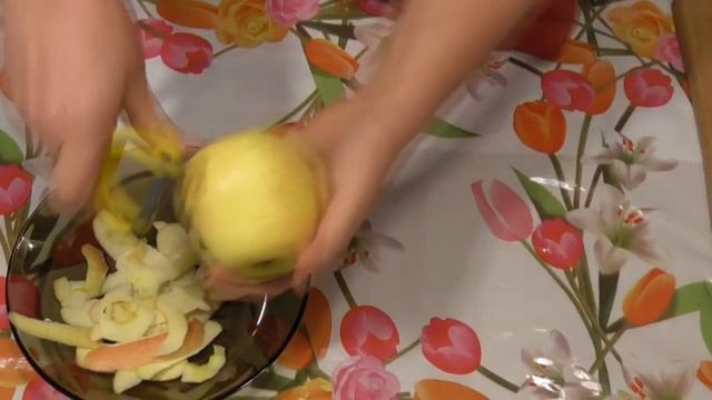 Наука о Здоровье и Жизни