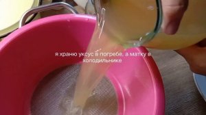 уксус на основе уксусной матки готов. уксусная матка - гриб сверху уксуса.