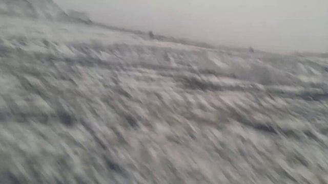 Полигон "Кучино". Итоги рекультивации. смотреть онлайн