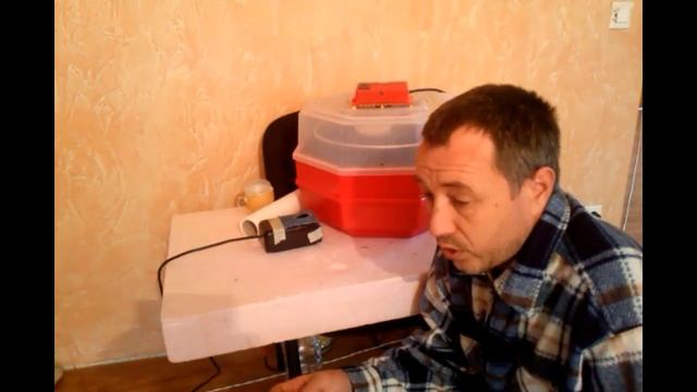 Что будет если переохладили яйца в инкубаторе смотреть онлайн