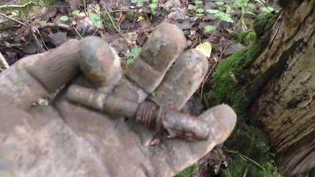 Сигнал МД всегда интрига!!!