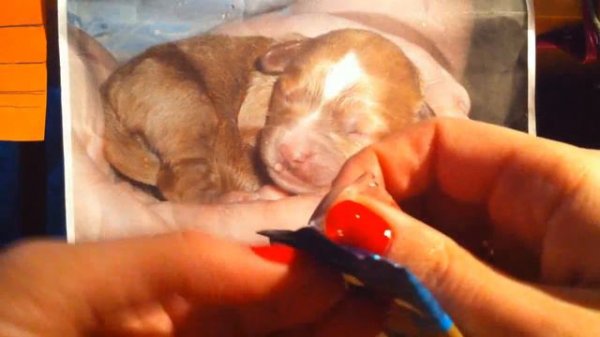 Part 3: Opening EX Power Keepers Booster Box