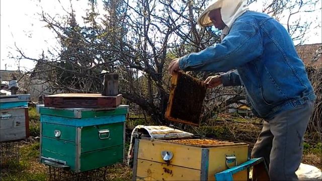 Карыш 2017 весна смотреть онлайн