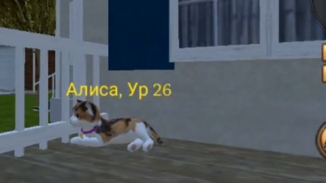 Легенда о том как кошки и коты стали видеть ЧЕРНО-БЕЛЫМ!!!