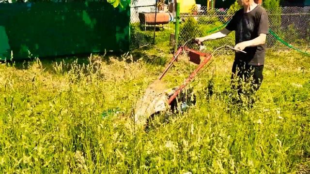 Чешская косилка с китайским мотором смотреть онлайн