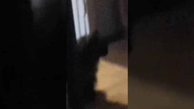 Как скачать null's brawl смотреть онлайн