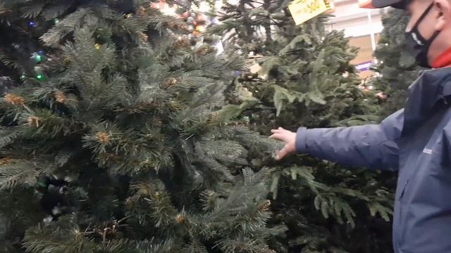 Выбираем ёлку в Олди очень маленький выбор смотреть онлайн