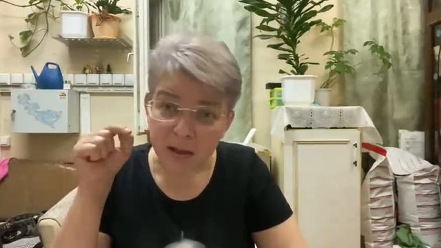 Не обломай крылышки КУРИЦА. «Старая перечница» смотреть онлайн