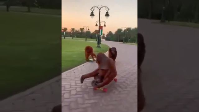 крутые бибизяны))) смотреть онлайн
