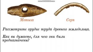 Познание мира, 2 класс, урок 24