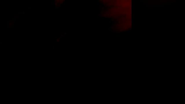 Мой котёнок Тосик 2 месяца ! Няшка! смотреть онлайн