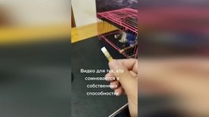 Самые смешные животные / Приколы с котами и собаками 2022