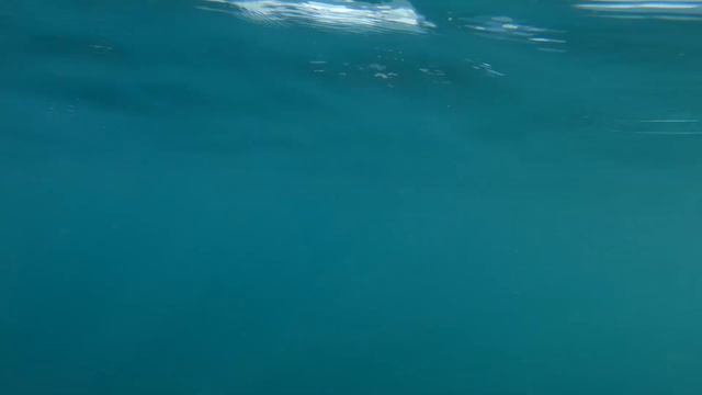 Отдых в Сочи 2019 смотреть онлайн