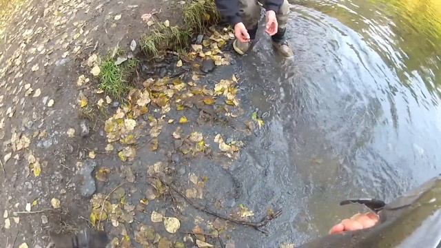 Salmon fishing Kodiak Alaska with Adventure Guides Kodiak смотреть онлайн