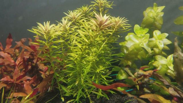 20 long diy stand and led lights in detail смотреть онлайн