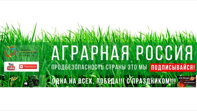 Работай и путешествуй! и Лето на ферме