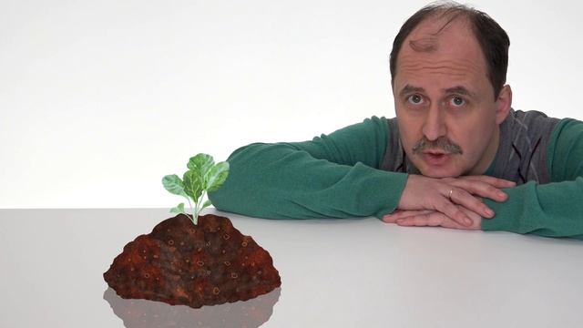 28.2. Овощи. Капуста смотреть онлайн