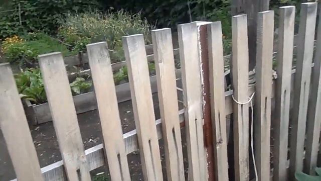 самая вкусная ягода смотреть онлайн