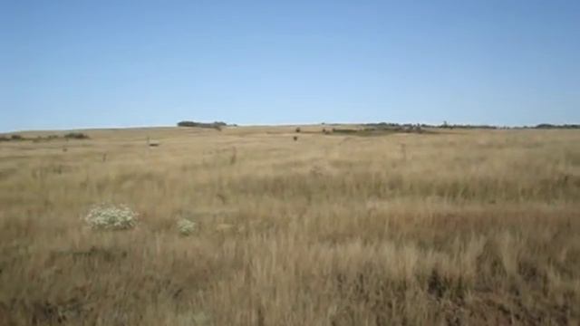 Josefstal - Иозефсталь (Skripalovo- Скрипалово) Russia: The cemetery смотреть онлайн