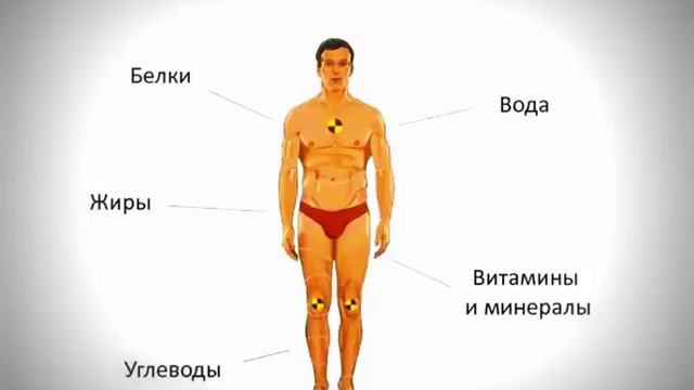 Роль правильного питания в жизни человека смотреть онлайн