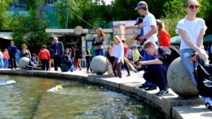 Клуб Юных Техников СО РАН