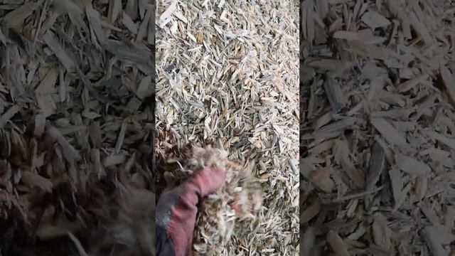 #казань #работа #стройка #блок #арболитовыеблоки #материал смотреть онлайн