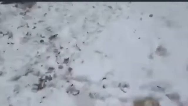 Штат Пенсильвания.США смотреть онлайн