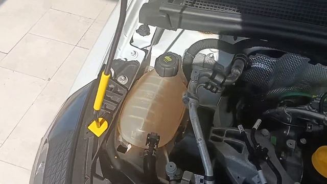 RENAULT CLİO 5 KAPUT İÇİ MOTOR TANITIMI смотреть онлайн