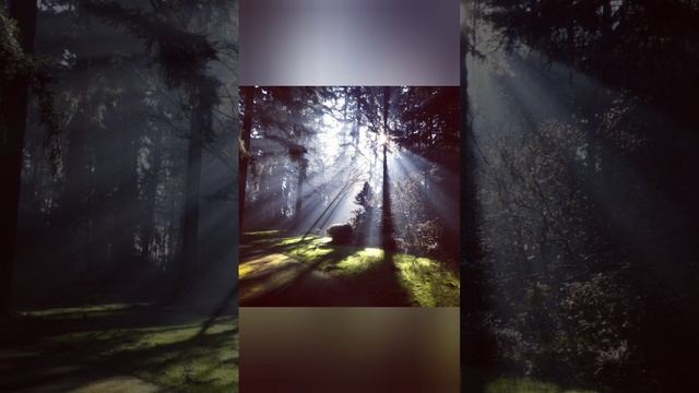 Артур Меречин. Стихотворение "Осенняя элегия". Авторское чтение. смотреть онлайн