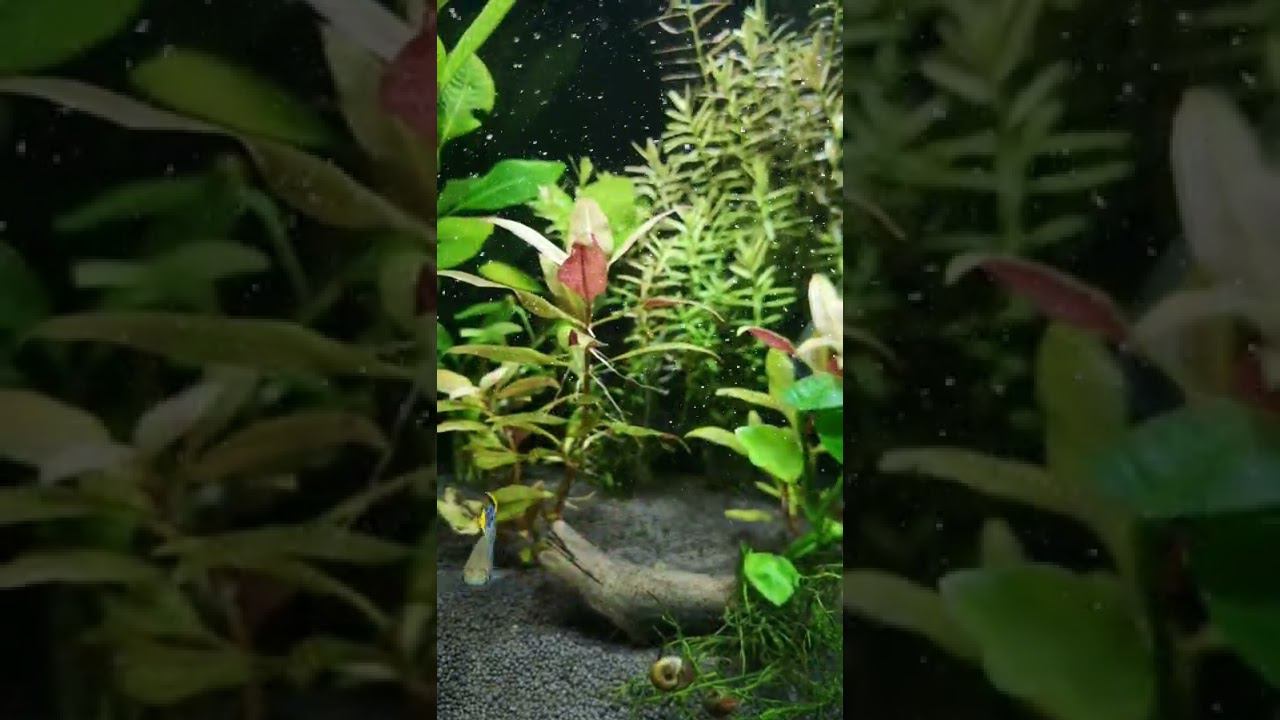 Скоро полное видео что я сделал из прямоугольной тридцатки смотреть онлайн