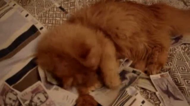 Один из способов отмывания денег смотреть онлайн