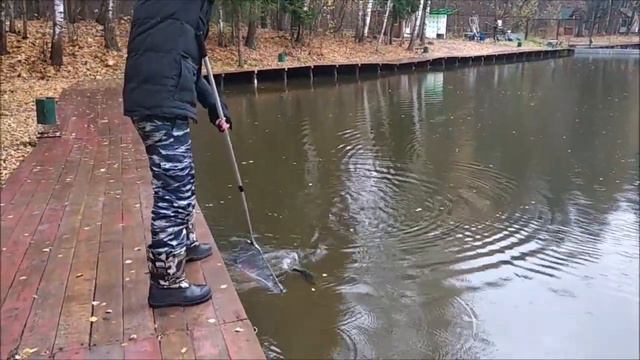 Как всегда, после запуска, работает железо. Клёвое место, Лосиный остров. смотреть онлайн