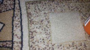 Как почистить палас За 3 Секунды!