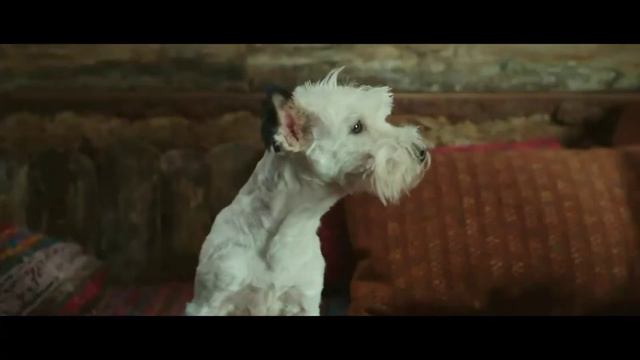 Обелиск разговаривает со своей собакой. Астерикс и Обелиск в Британии