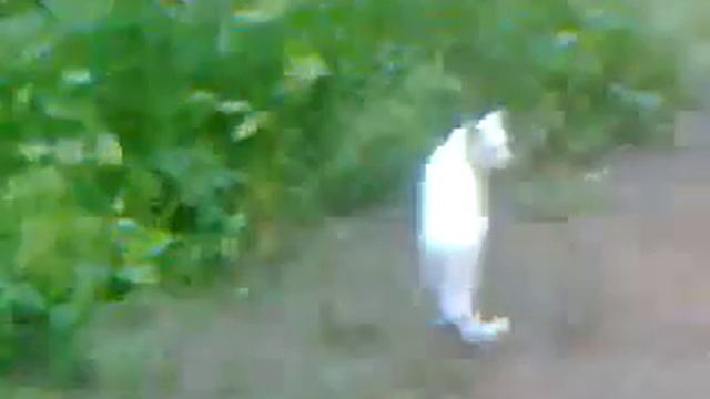 videoplayback117.mp4 смотреть онлайн