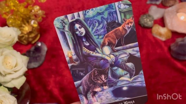 КАРТА ДНЯ НА ПЯТНИЦУ 13 АВГУСТА ✨ ТАРО ПРОГНОЗ ✨ Свеча Таро ✨? смотреть онлайн