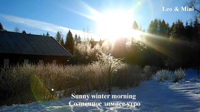 Sunny Winter Morning! Norway / Солнечное Зимнее Утро! Норвегия смотреть онлайн