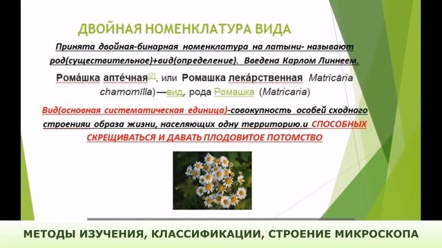Методы изучения смотреть онлайн