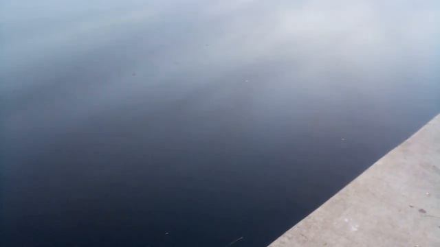 Зеленоградский канал. смотреть онлайн