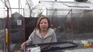 ЧЕГО НЕ НУЖНО ДЕЛАТЬ В АПРЕЛЕ В САДУ И ОГОРОДЕ | Светлана Самойлова