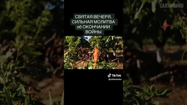 Молитва об окончании войны??? смотреть онлайн