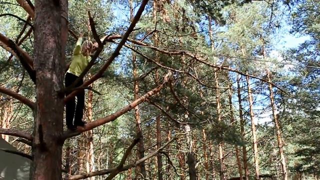 Мать троих детей с дерева! смотреть онлайн