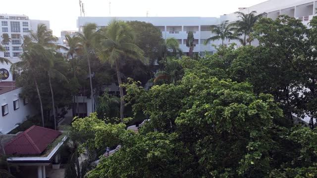 Это ДОМИНИКАНА. Это БОКА-ЧИКА. Обзор отеля HAMACA BEACH. смотреть онлайн