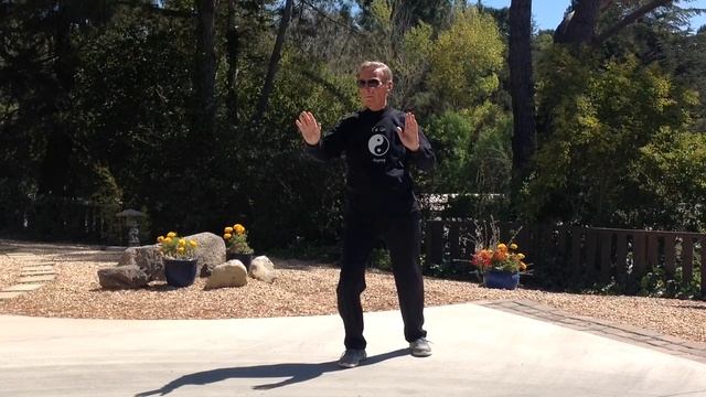 Daily TaiChi With Don Fiore - 20 Min