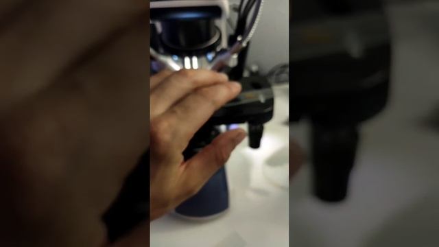 КЛЕЩ ДЕМОДЕКС НА МОЕМ ЛИЦЕ смотреть онлайн