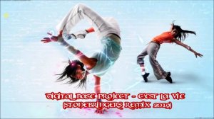 Digital Base Project  -  C'est La Vie (Stonebringers Remix 2019)