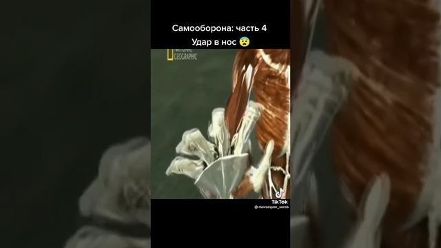 САМООБОРОНА : Удар в нос как оборонятся от грабителей ЛАЙФХАК ПОЛЕЗНО БЫСТРО ЭФЕКТИВНО КАЧАТ НОГИ смотреть онлайн