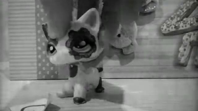 Теперь Настя понимаеш как мне тогда с Сашей было плохо!!!…😿 смотреть онлайн